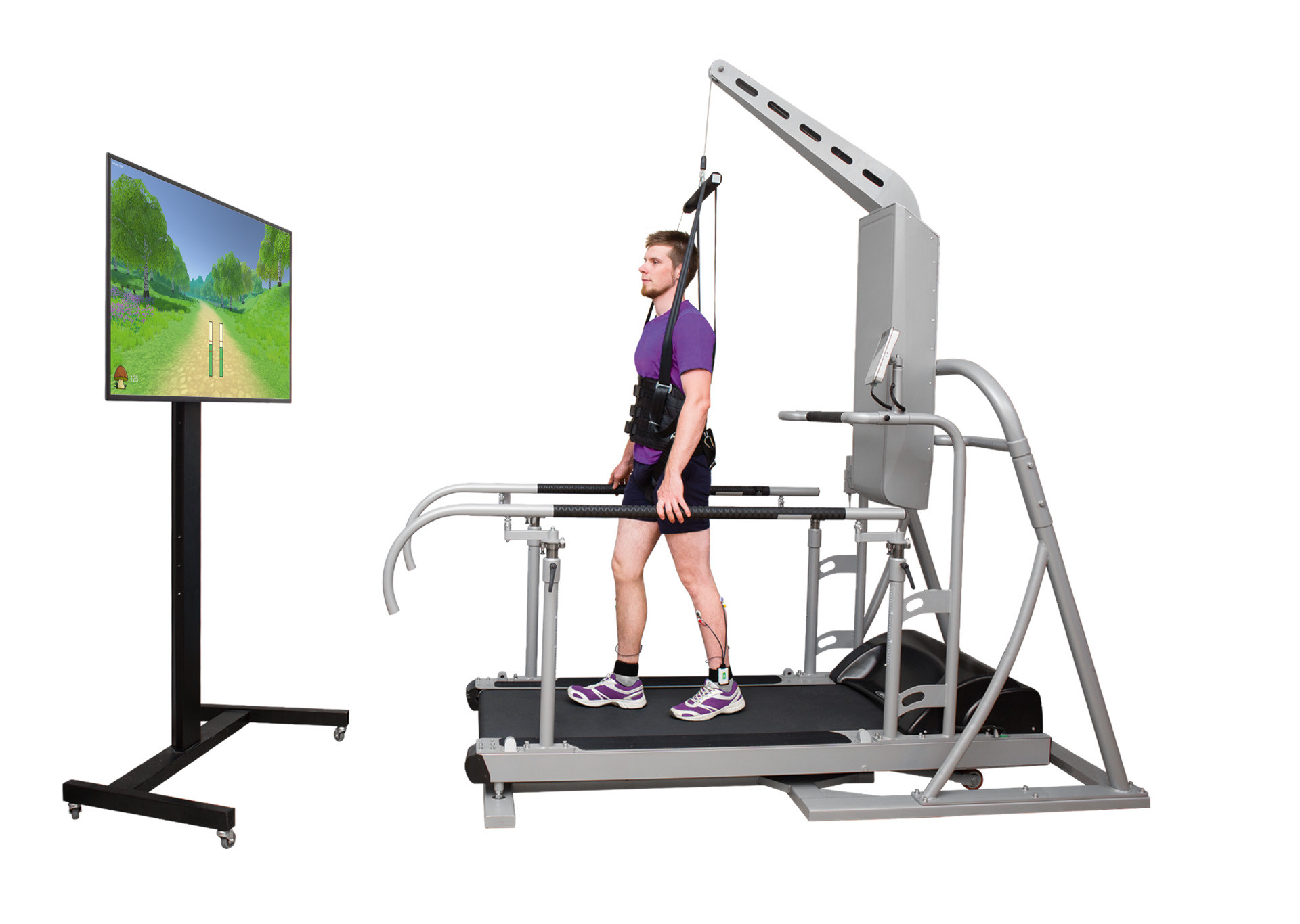 Gait Assessment and Training System